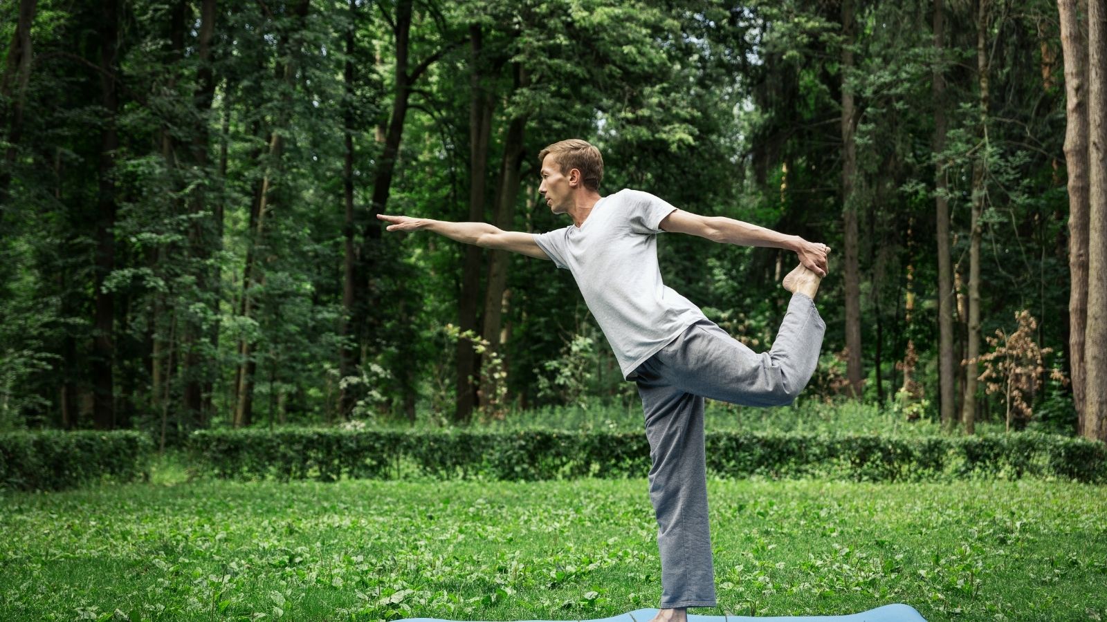 Tani SilkCut underwear