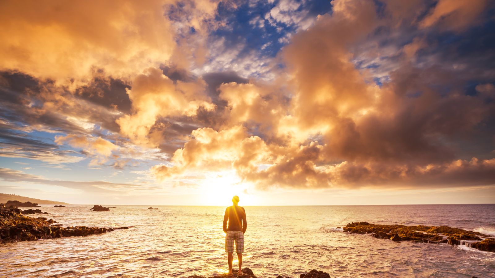 SilkCut men’s underwear with customer reviews and stars overlaytop rated men's underwear