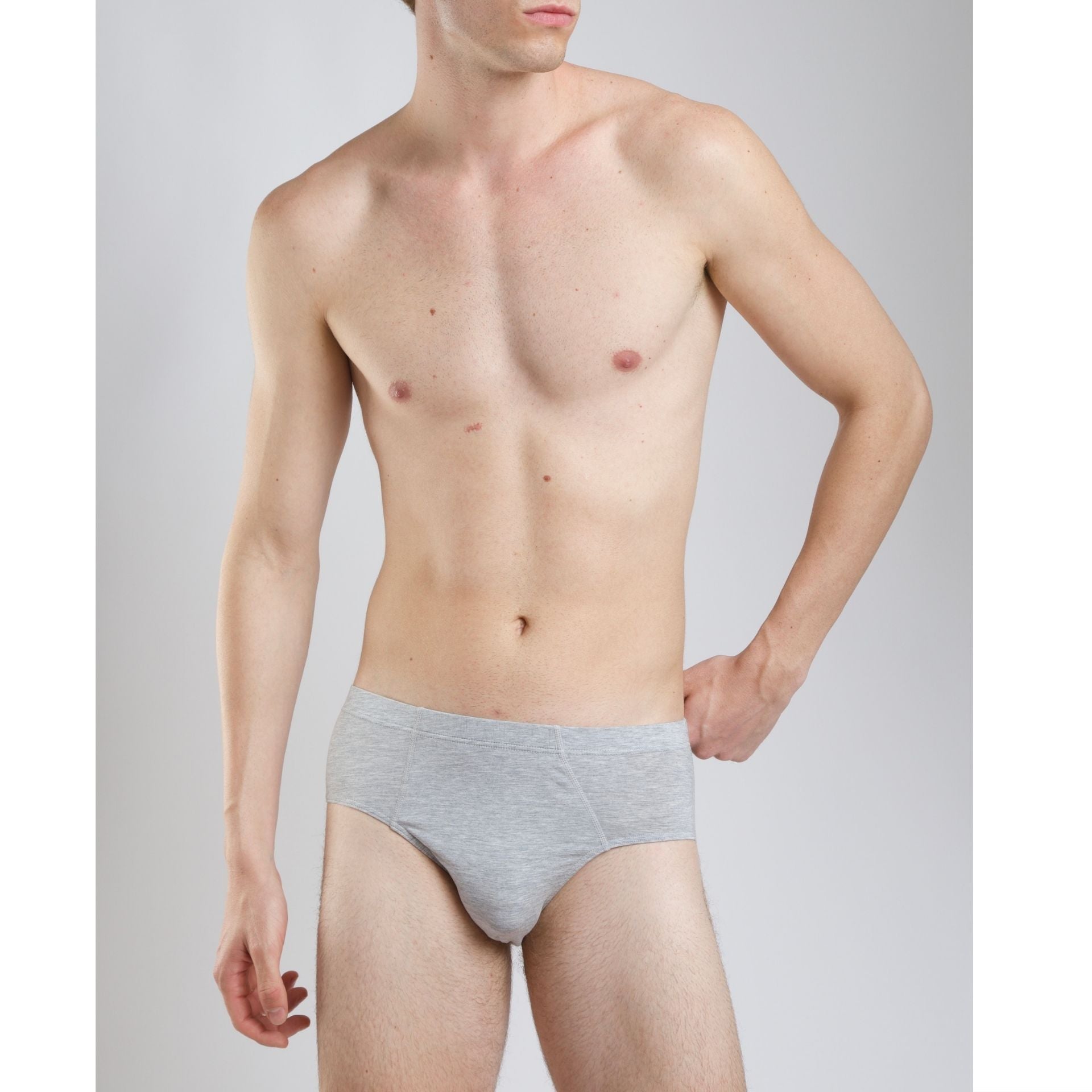 Men's Briefs - Micro Modal Underwear - 4Pack grey