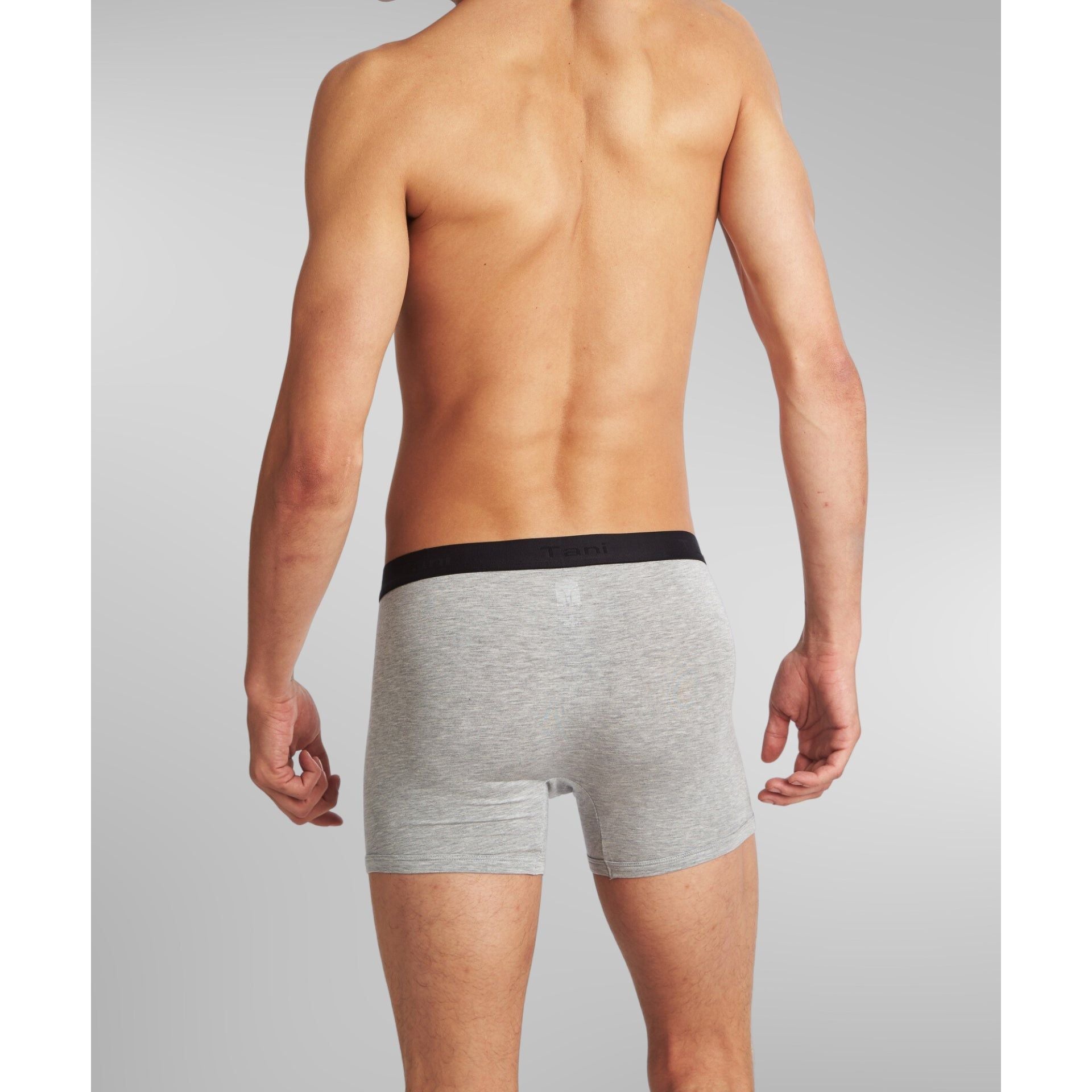 SilkCut Mens Boxer Briefs in Color Grey