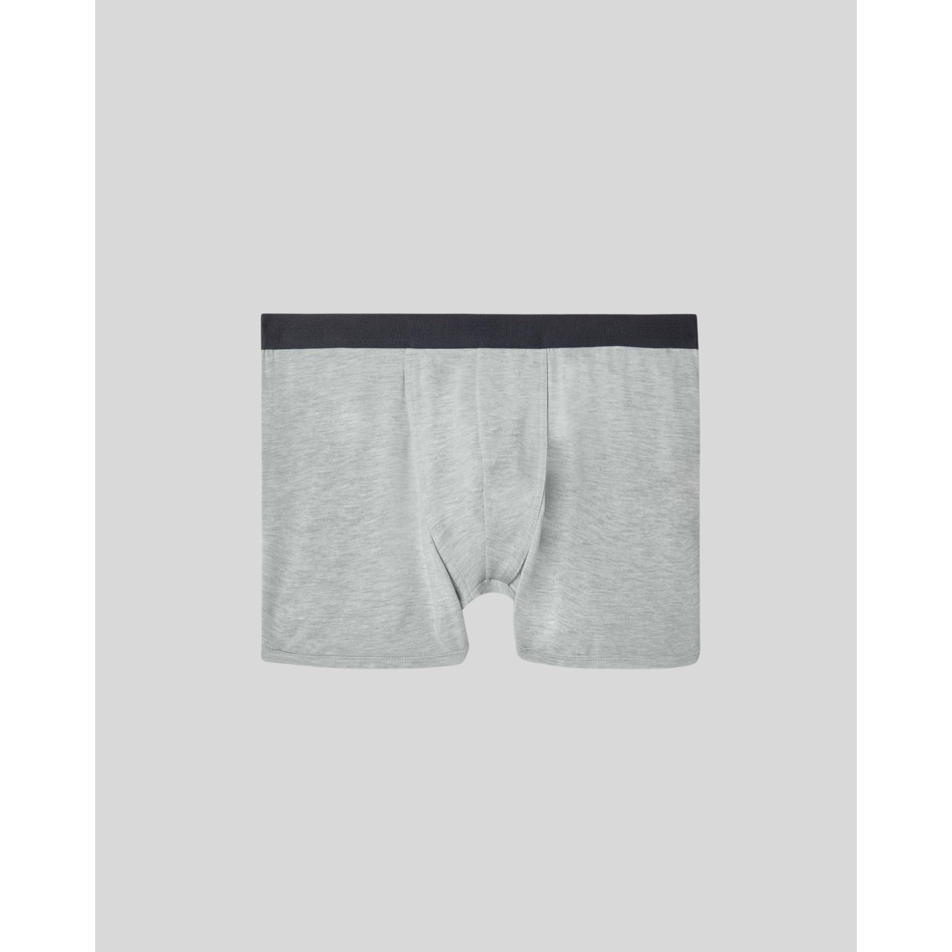Apex Men's Micro Modal Boxer Briefs Grey