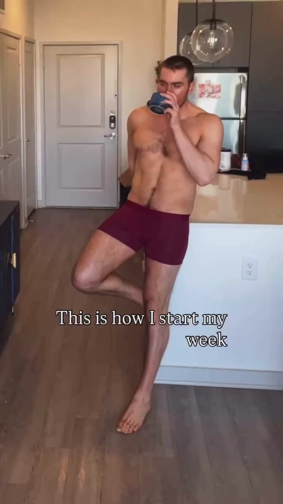 Boxer Briefs silkcut micro modal air 